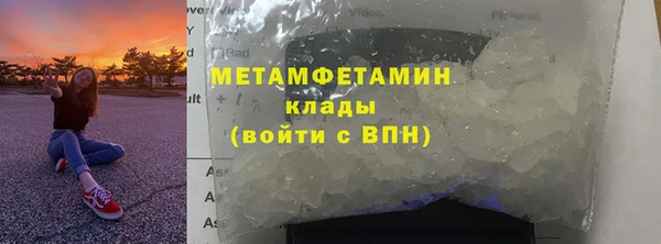 прущие грибы Карталы
