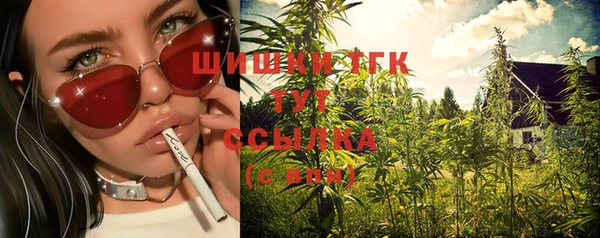 тгк Карпинск