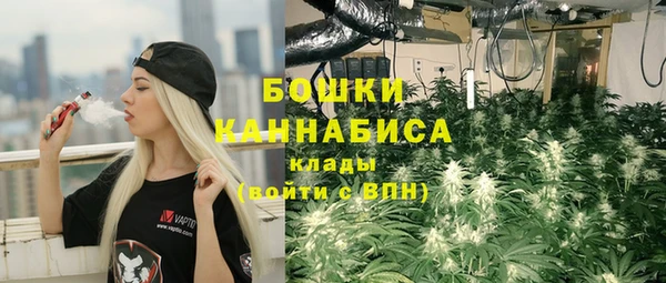 прущие грибы Карталы