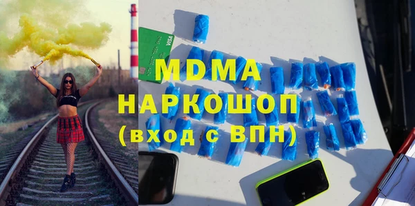 прущие грибы Каменногорск