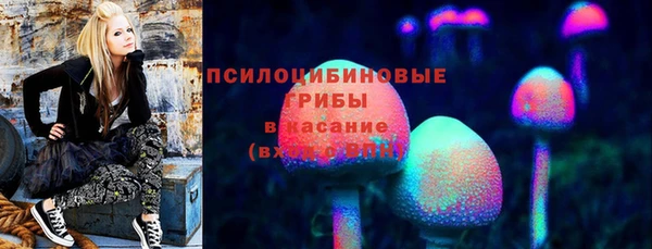 МДПВ Касимов