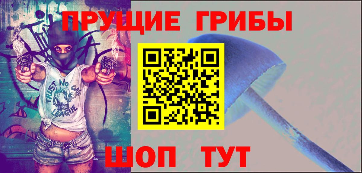 Псилоцибиновые грибы Psilocybe  Вход с VPN  как найти наркотики  Кулебаки 